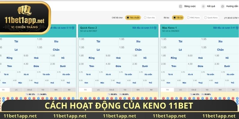 Cách hoạt động của Keno 11BET